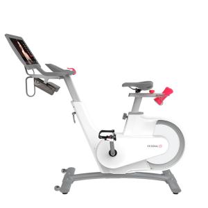 Купить Велотренажер Yesoul BV1-W PLUS в Светлогорске 